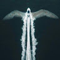 dan215
