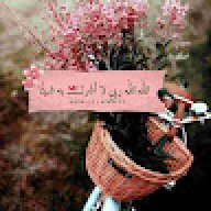 warda_aniqa