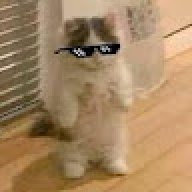 v_0lt