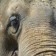abvgz