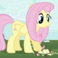 FlutterShy