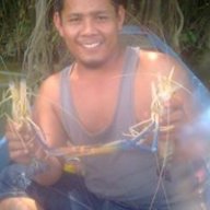 Moni anwar