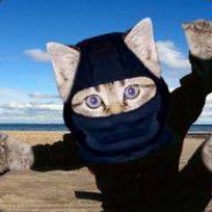 choconinja