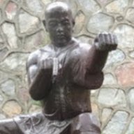 Kungfukid