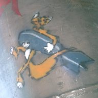 MrFly8181