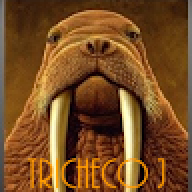 Tricheco J