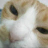 eslam4