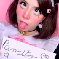pansitodemichi