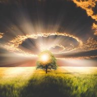 iamlight