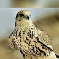 ahmed_aa562