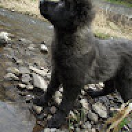 Mau0110