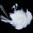 SwanSong