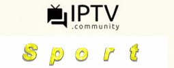 zsP5ttZ.gif